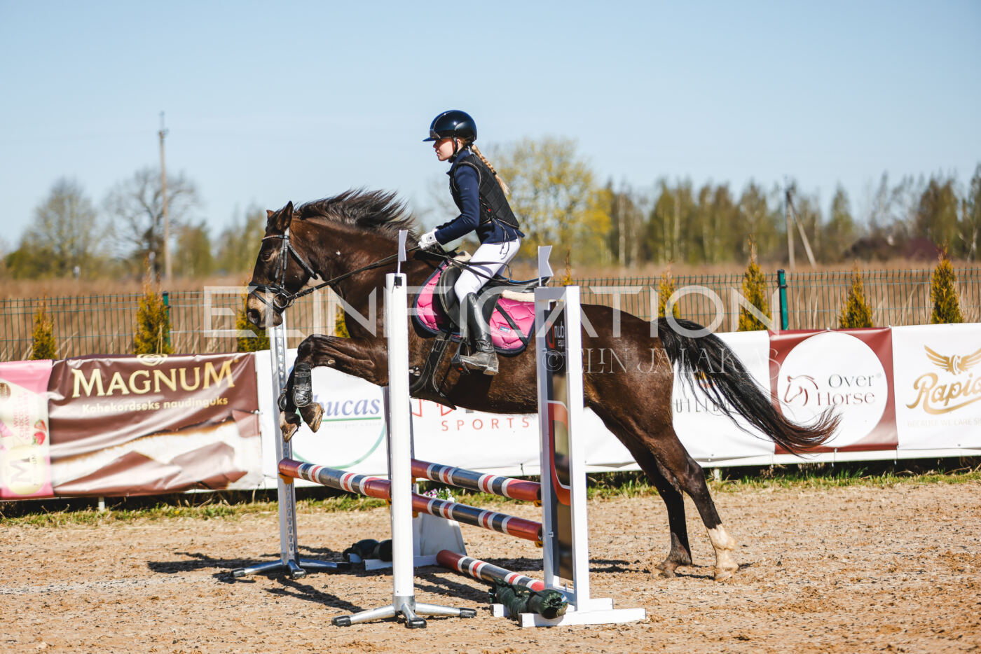 Gramina_Volber_2026_hc70-80_0279