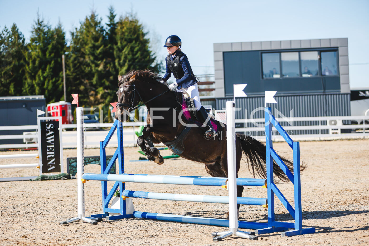 Gramina_Volber_2026_hc70-80_0302