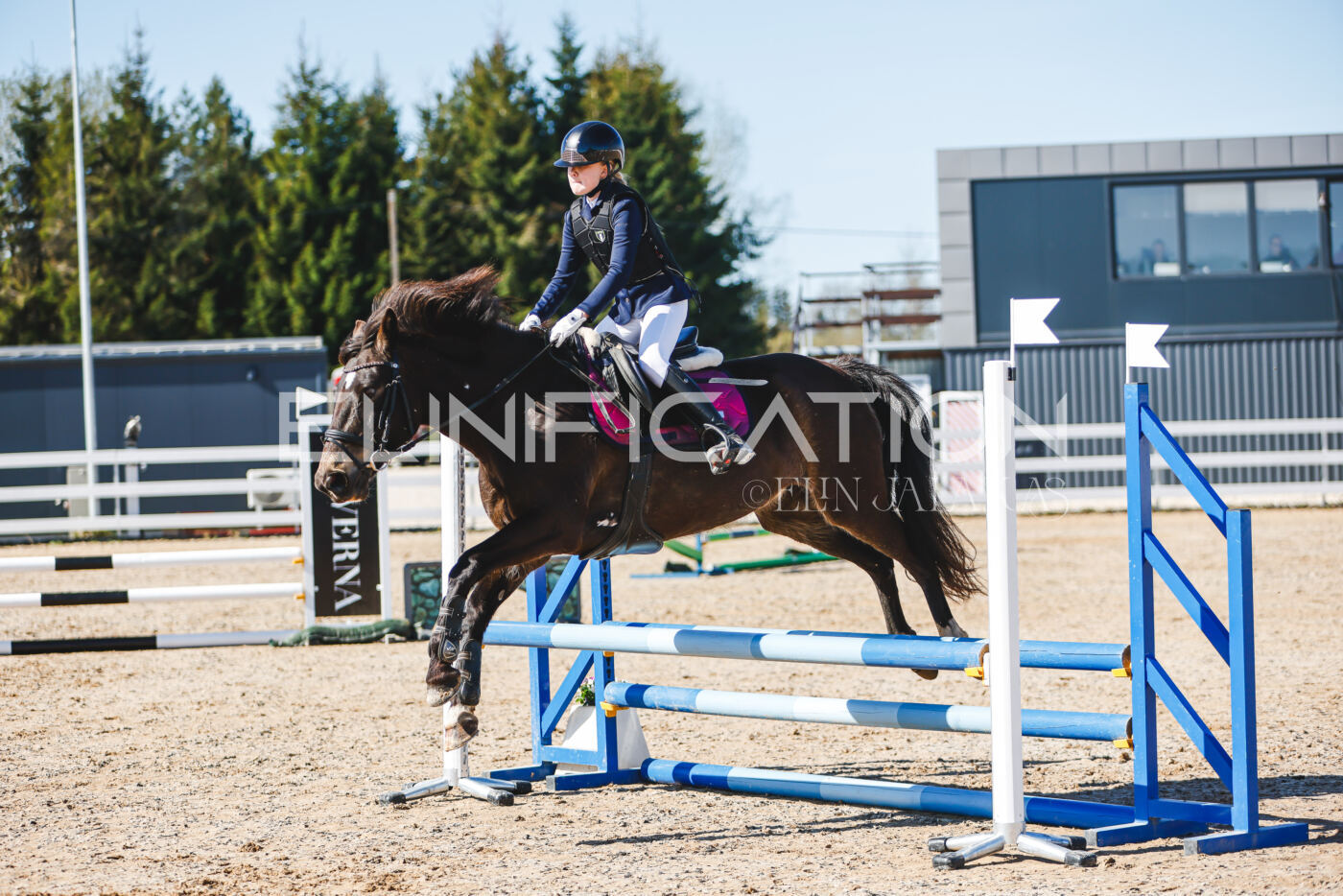 Gramina_Volber_2026_hc70-80_0306