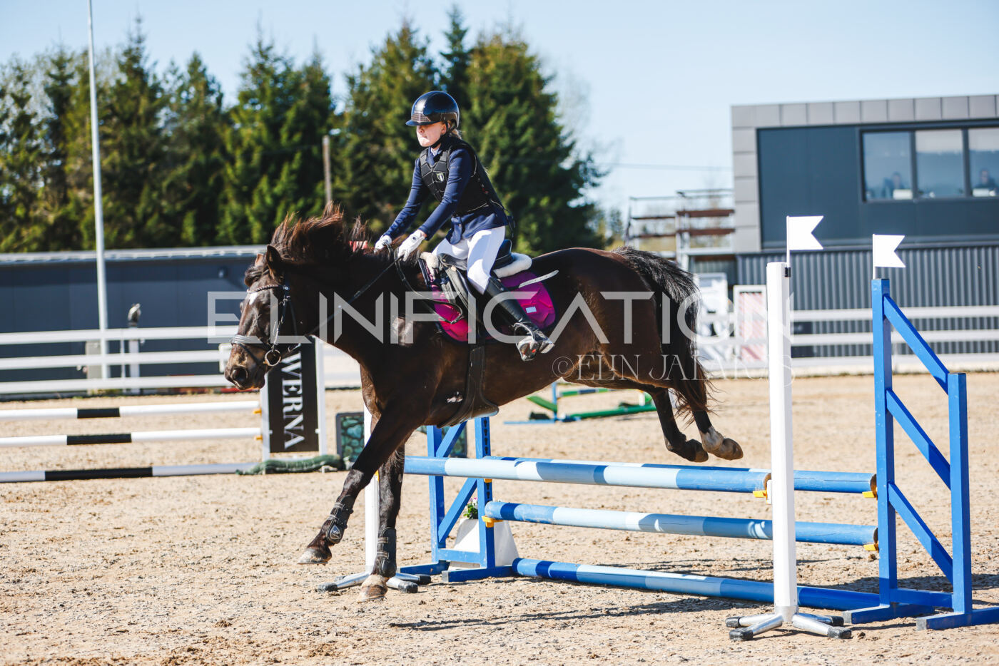 Gramina_Volber_2026_hc70-80_0307