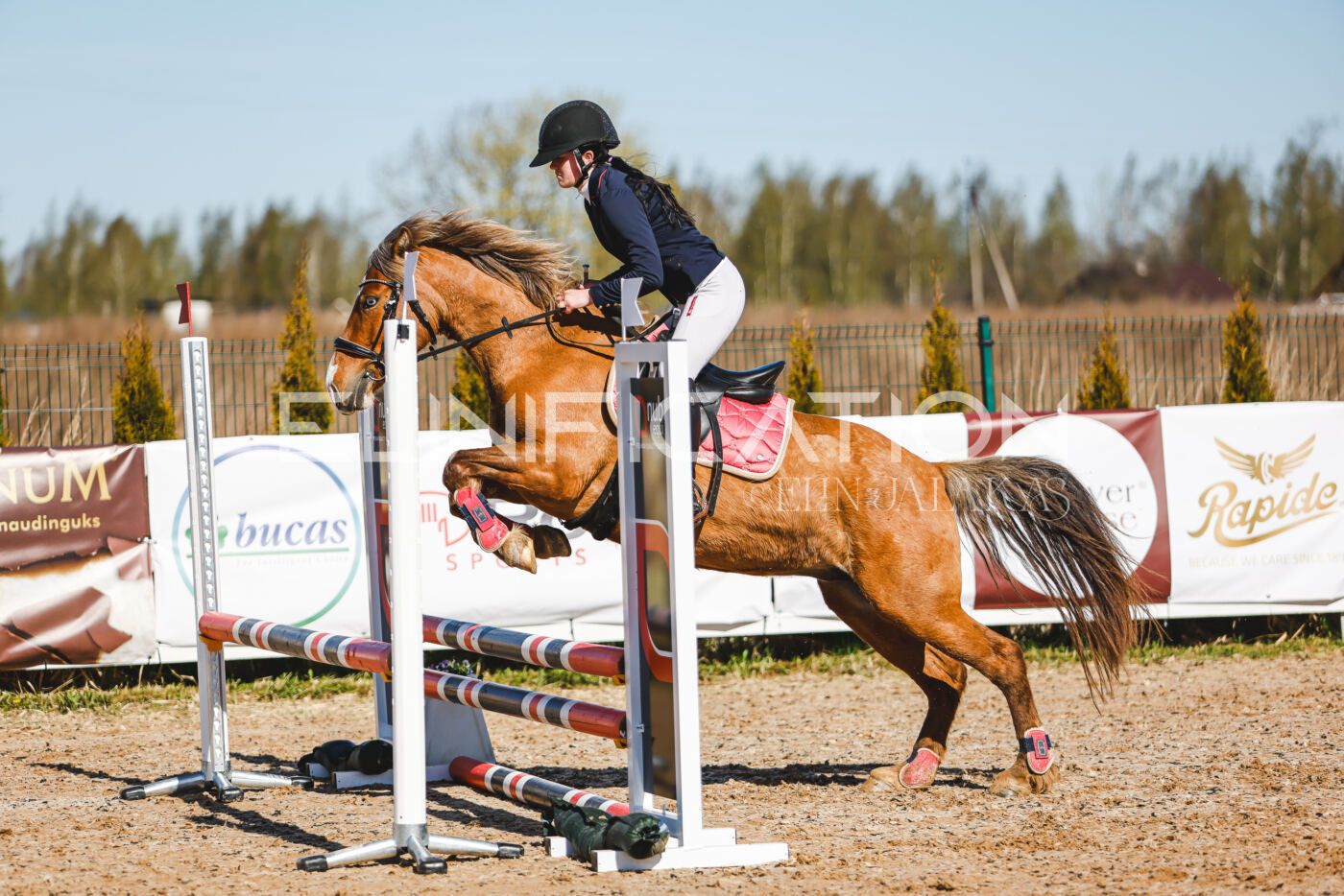 Gramina_Volber_2026_hc70-80_0308