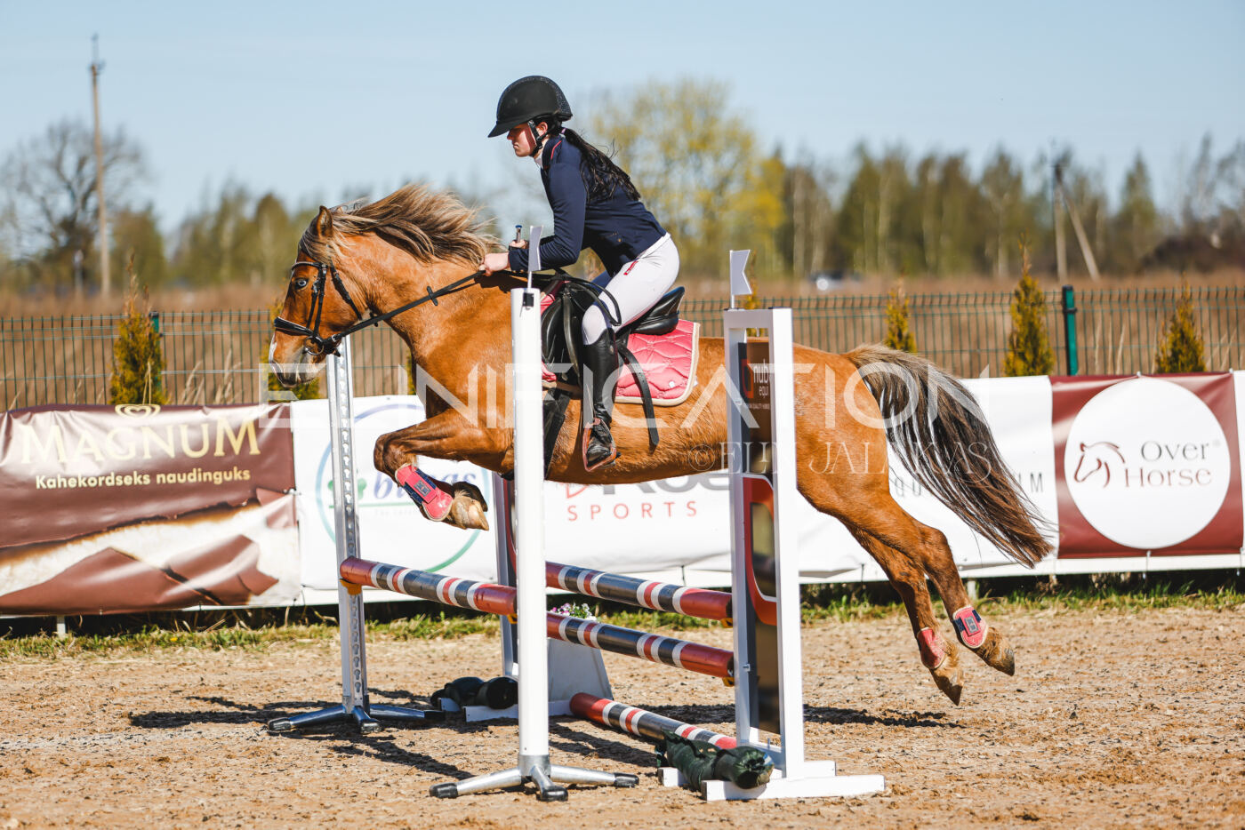 Gramina_Volber_2026_hc70-80_0310