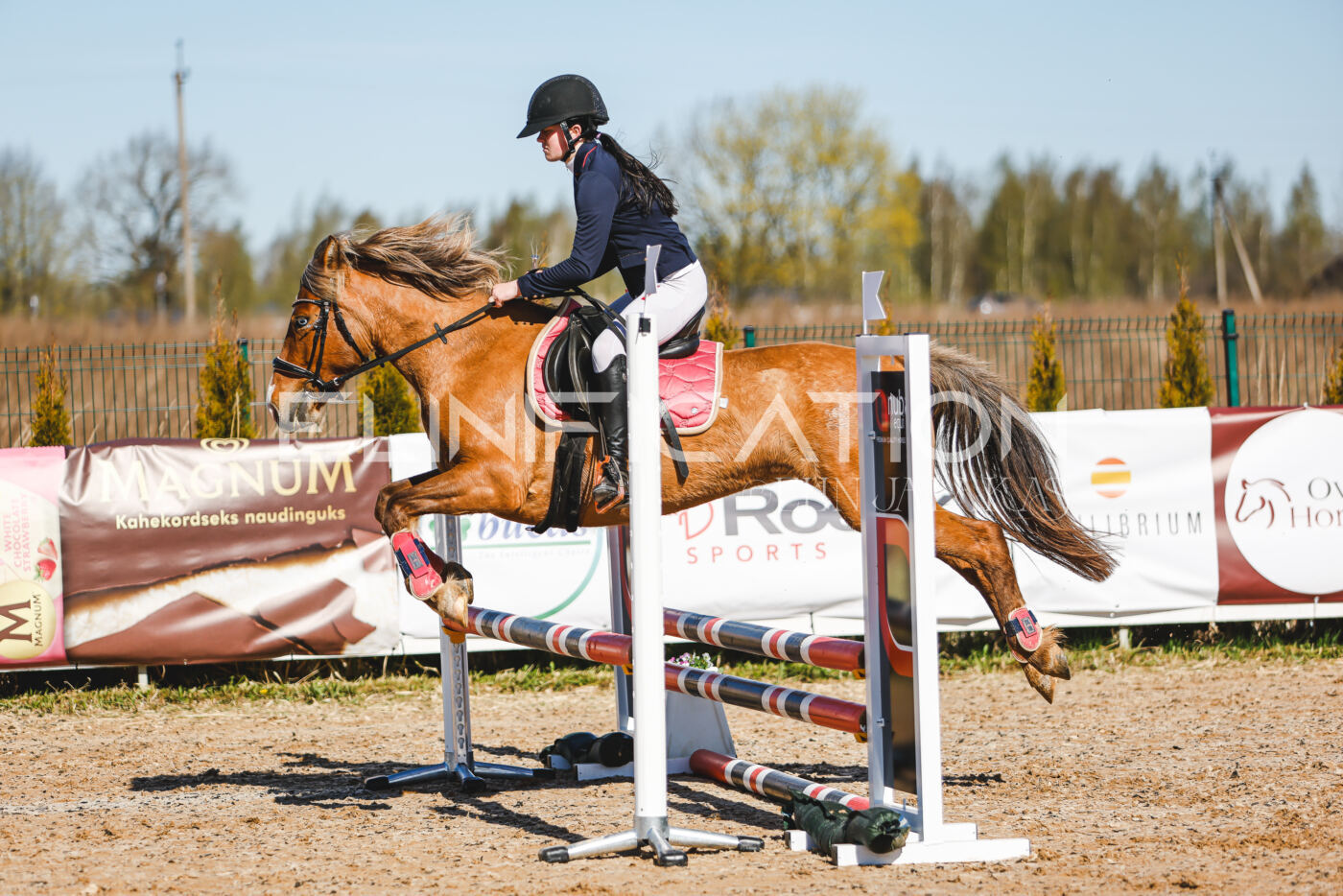 Gramina_Volber_2026_hc70-80_0311