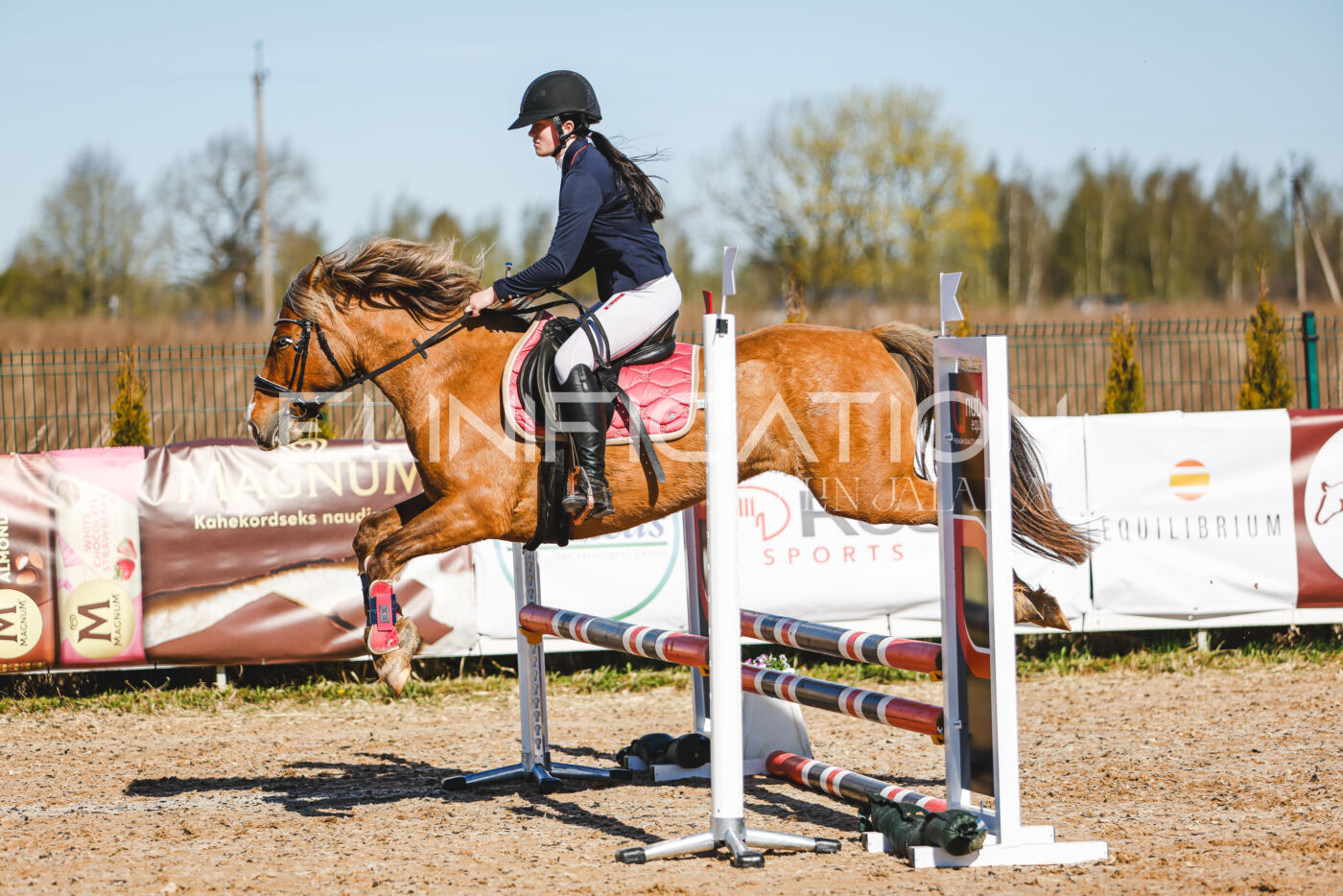 Gramina_Volber_2026_hc70-80_0312