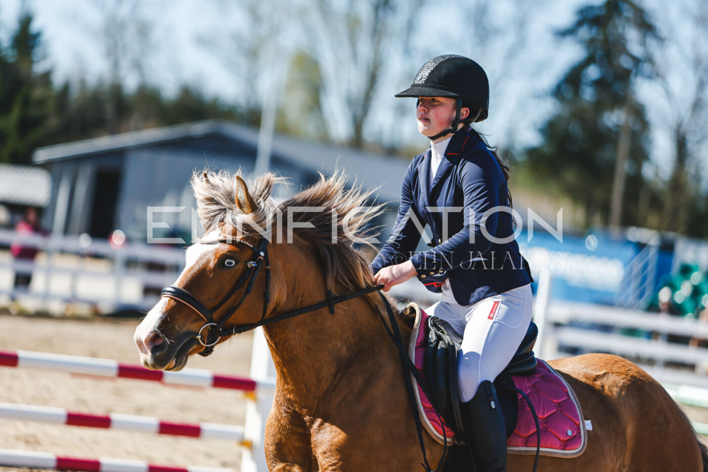 Gramina_Volber_2026_hc70-80_0314