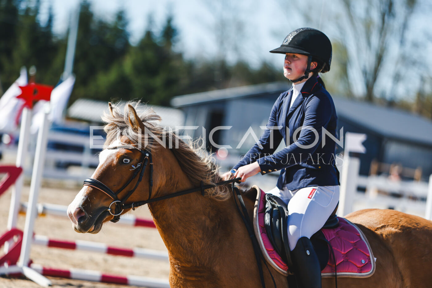 Gramina_Volber_2026_hc70-80_0315