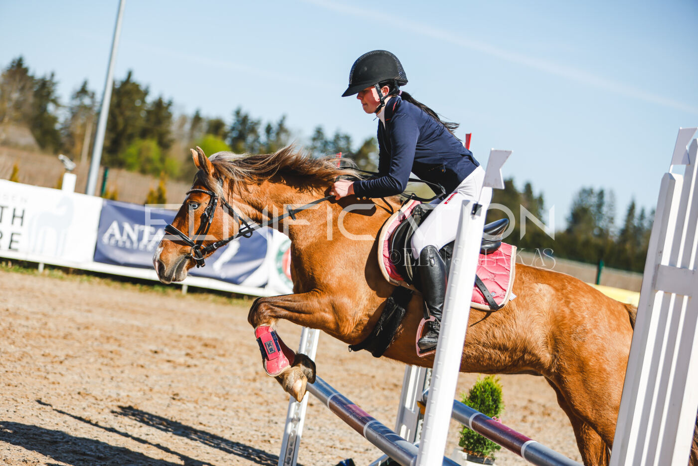 Gramina_Volber_2026_hc70-80_0316