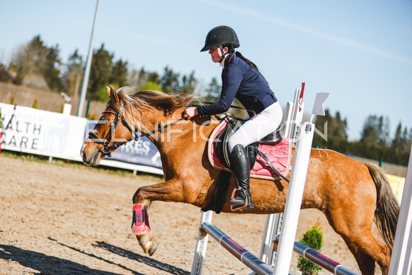 Gramina_Volber_2026_hc70-80_0317