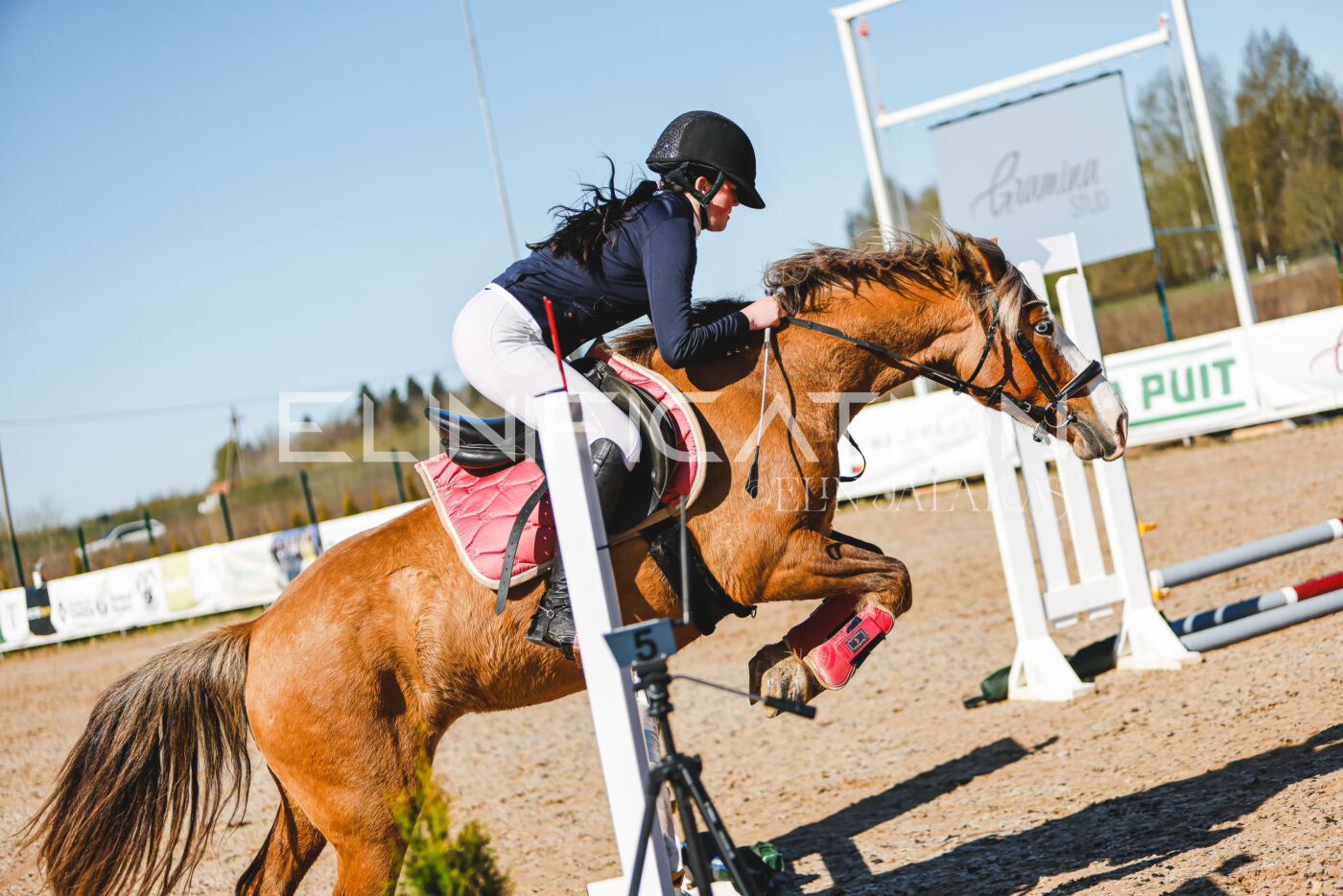Gramina_Volber_2026_hc70-80_0322