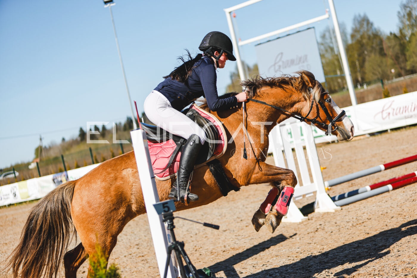 Gramina_Volber_2026_hc70-80_0323