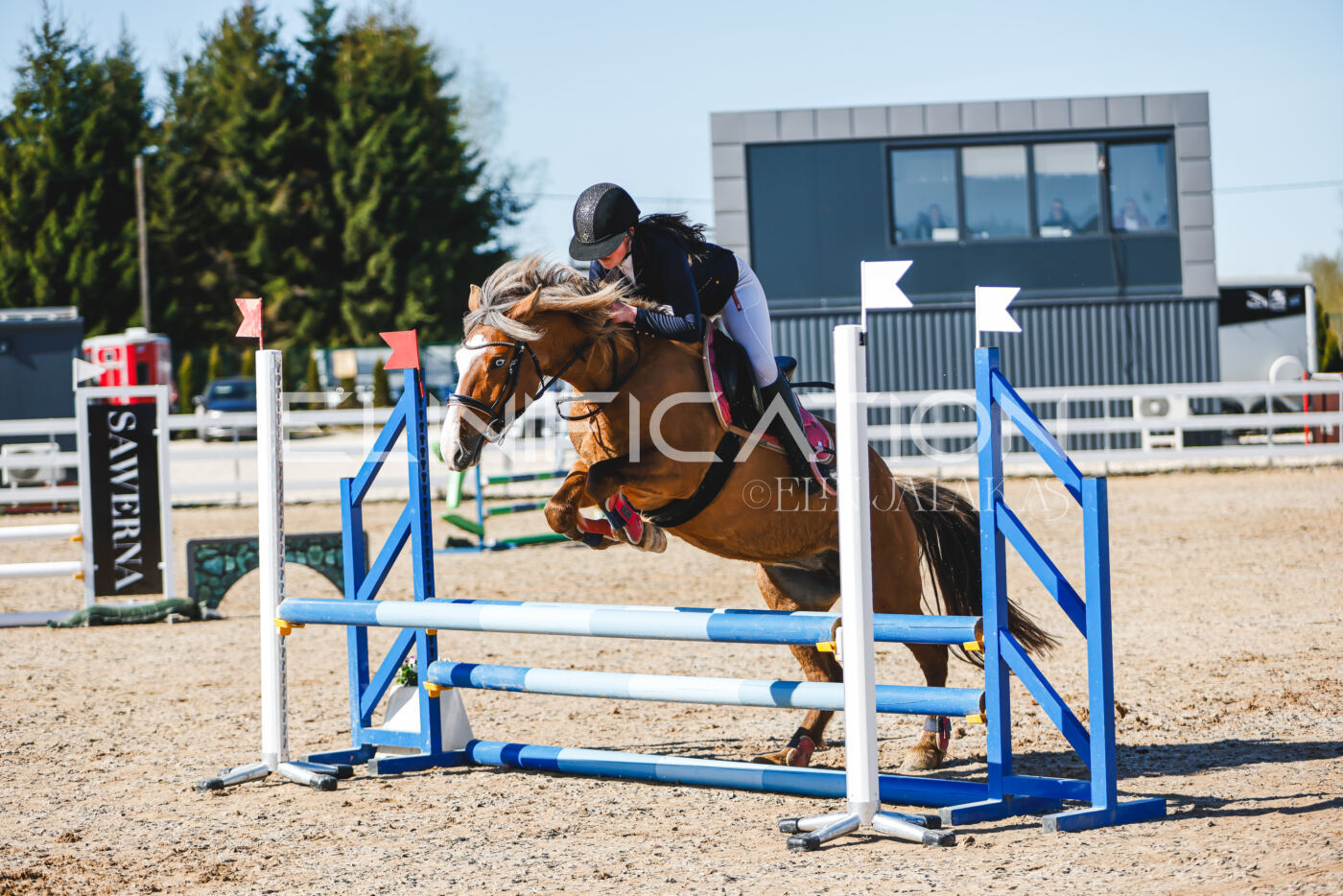 Gramina_Volber_2026_hc70-80_0324