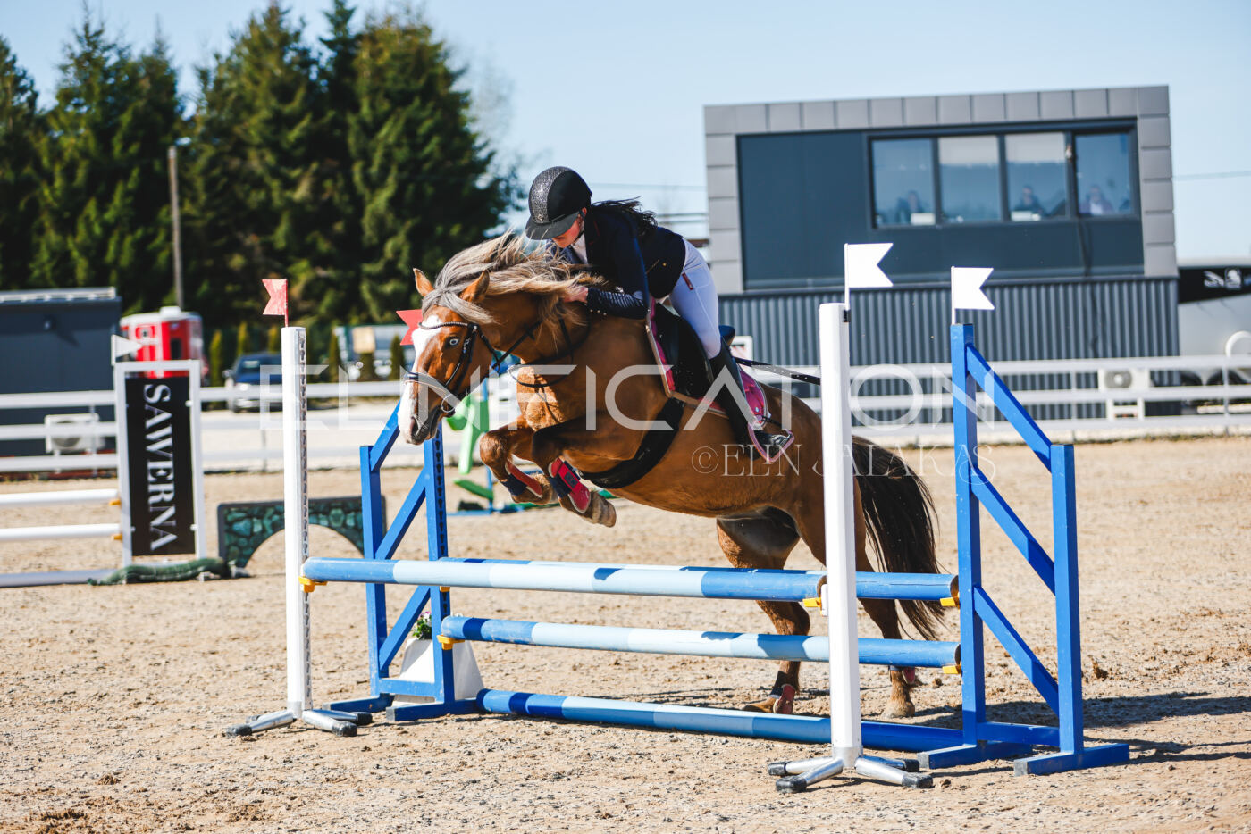 Gramina_Volber_2026_hc70-80_0325