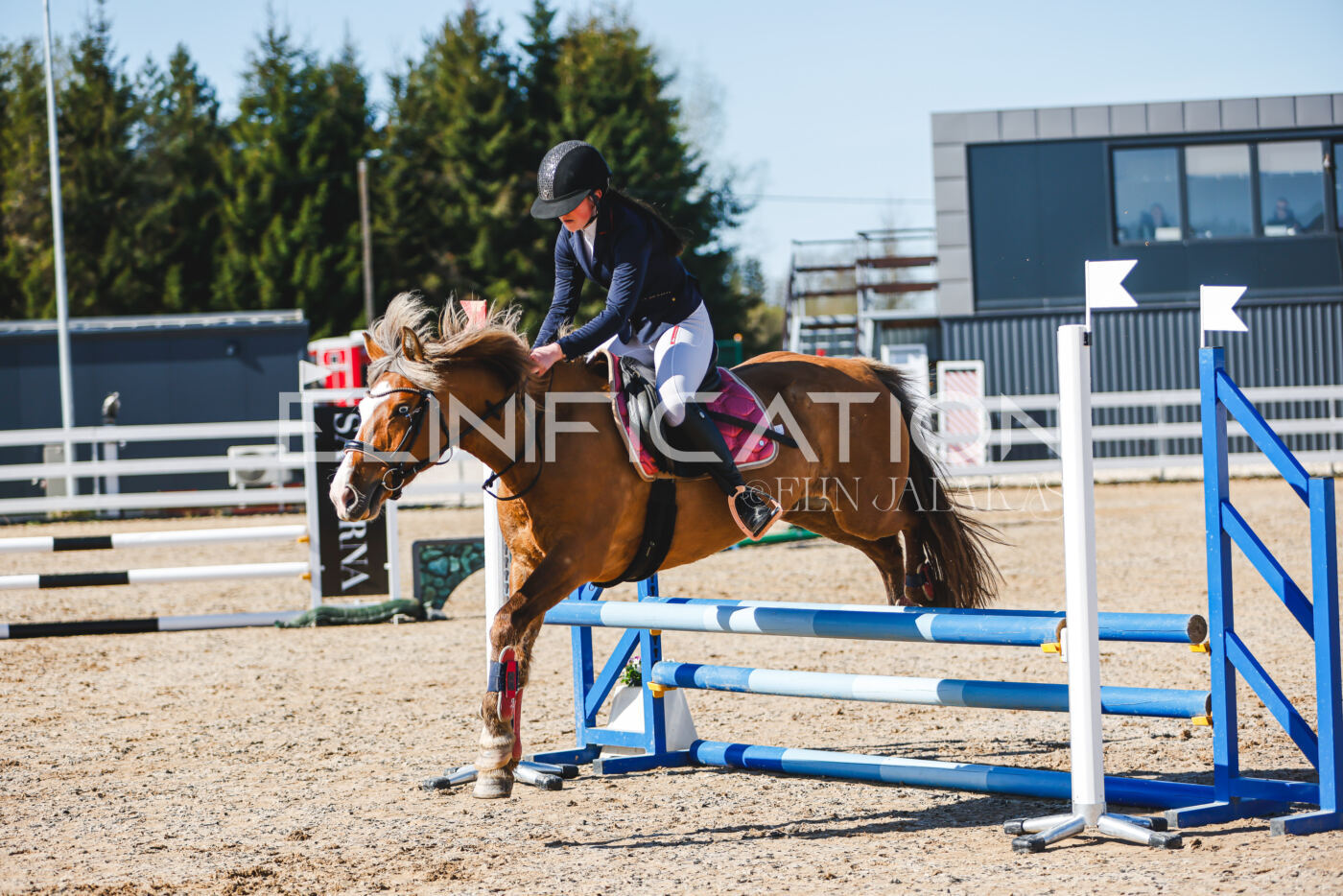 Gramina_Volber_2026_hc70-80_0329
