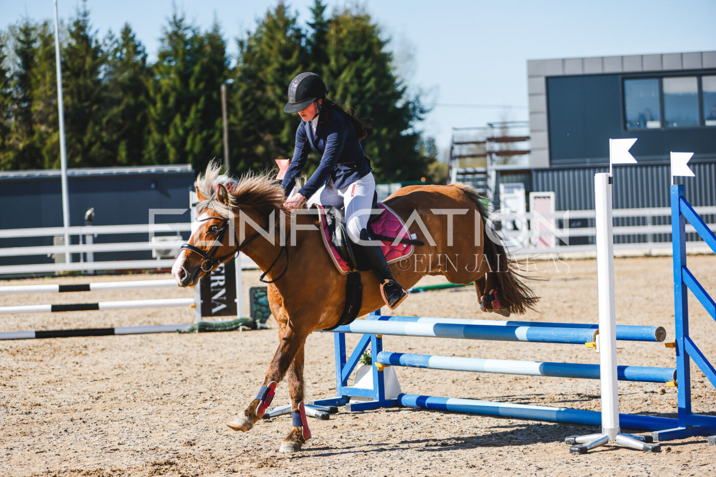 Gramina_Volber_2026_hc70-80_0330