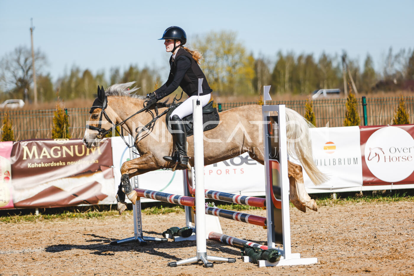Gramina_Volber_2026_hc70-80_0333