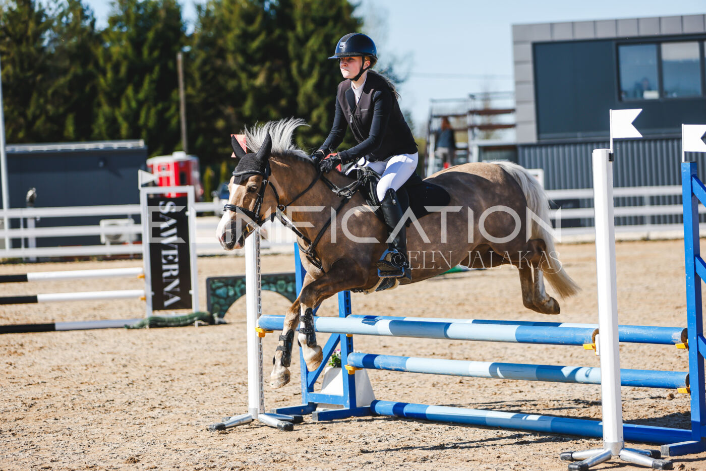 Gramina_Volber_2026_hc70-80_0351