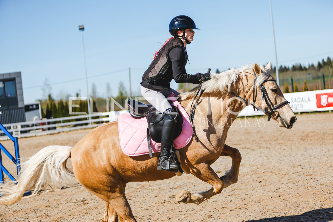 Gramina_Volber_2026_hc70-80_0371