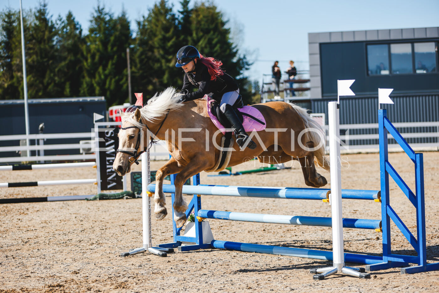Gramina_Volber_2026_hc70-80_0380