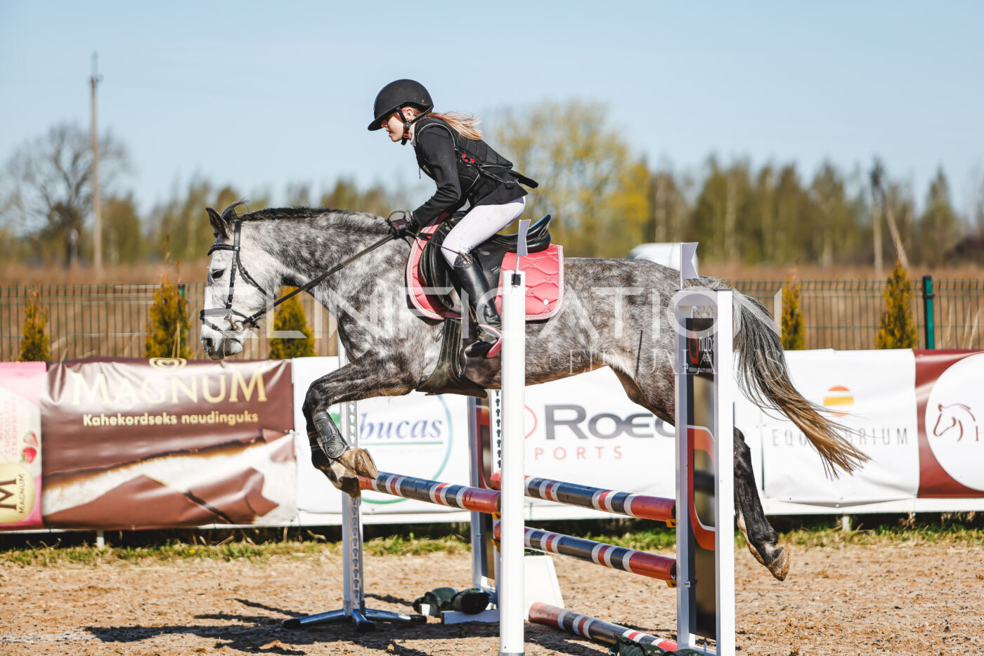 Gramina_Volber_2026_hc70-80_0390
