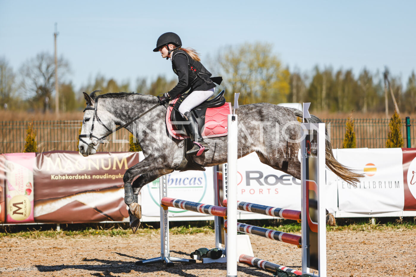 Gramina_Volber_2026_hc70-80_0391