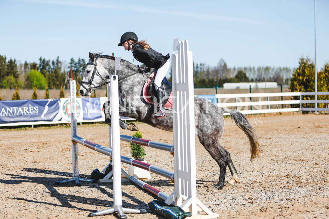 Gramina_Volber_2026_hc70-80_0396