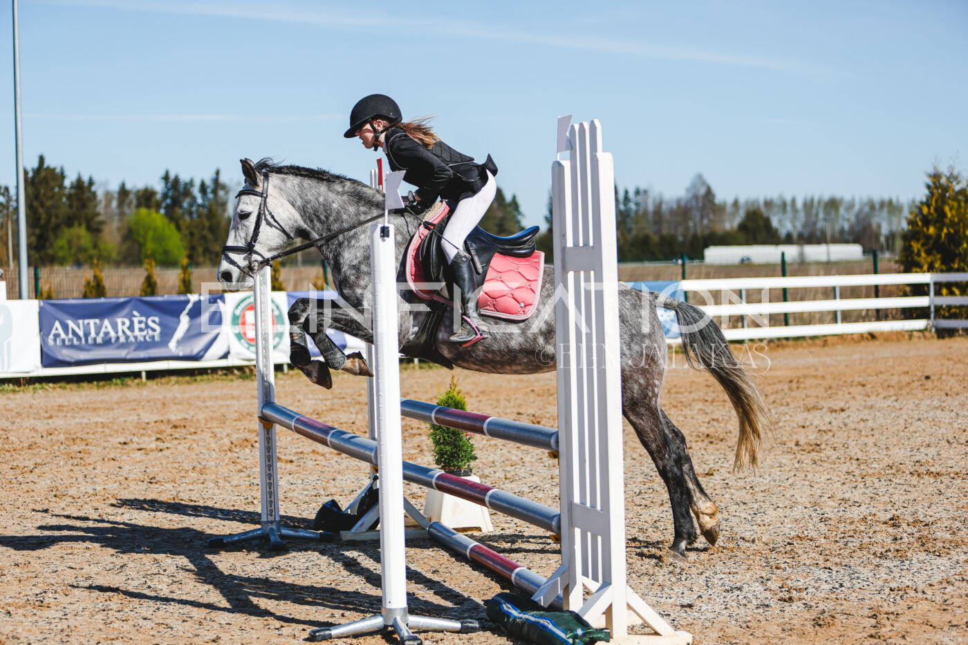 Gramina_Volber_2026_hc70-80_0397