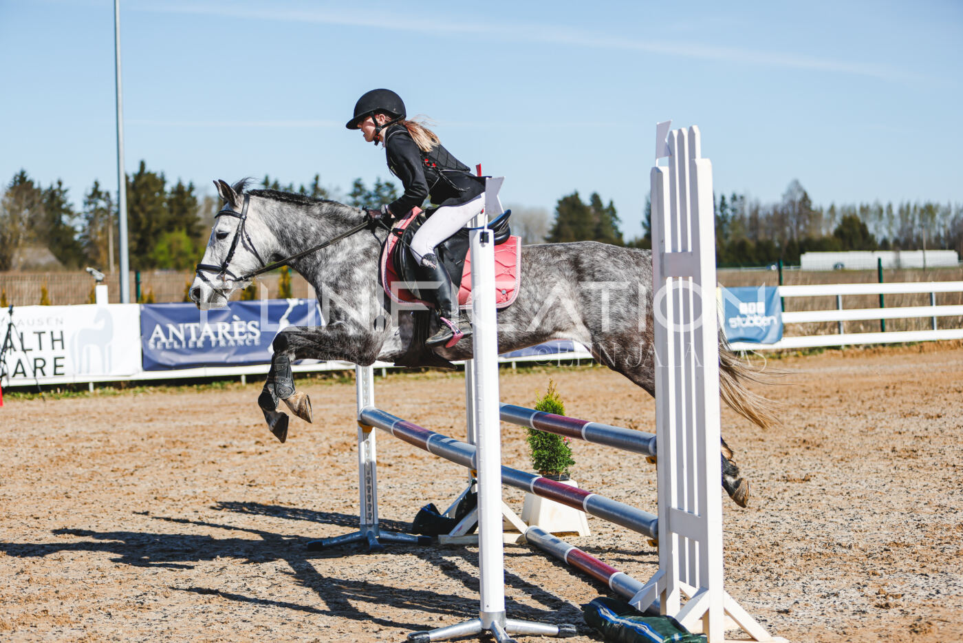 Gramina_Volber_2026_hc70-80_0399