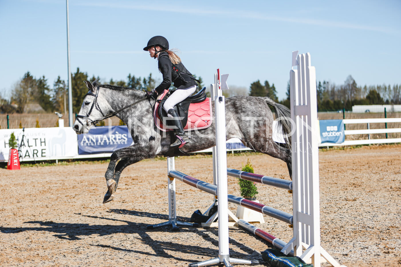 Gramina_Volber_2026_hc70-80_0400