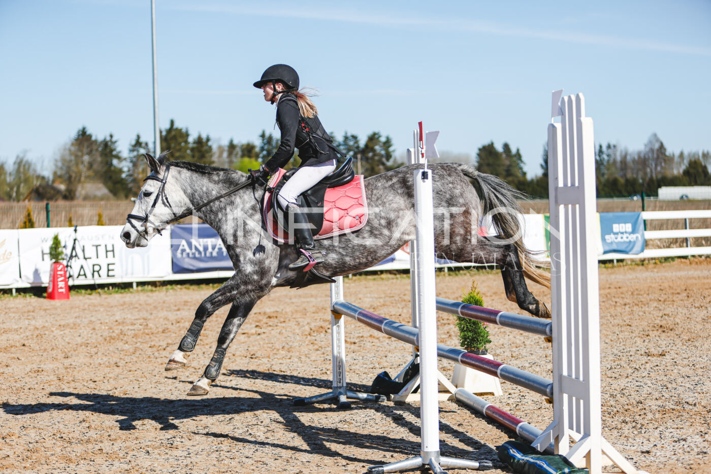 Gramina_Volber_2026_hc70-80_0401