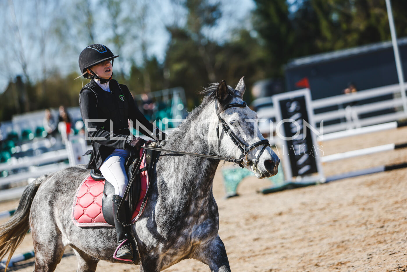 Gramina_Volber_2026_hc70-80_0410