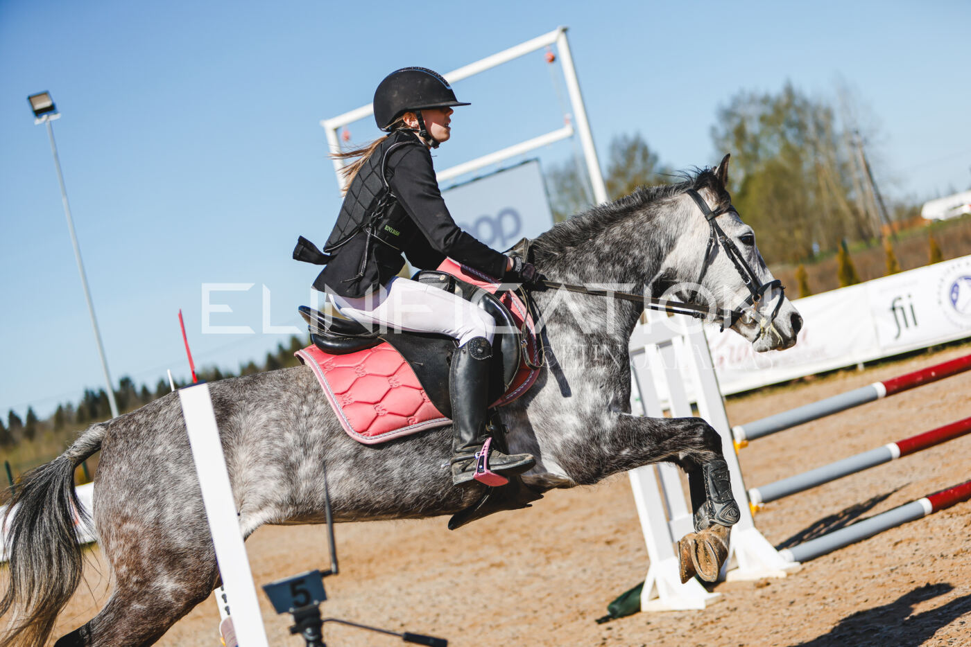 Gramina_Volber_2026_hc70-80_0414