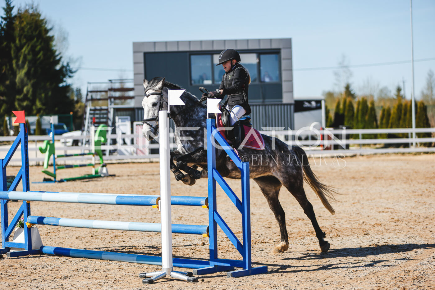 Gramina_Volber_2026_hc70-80_0415