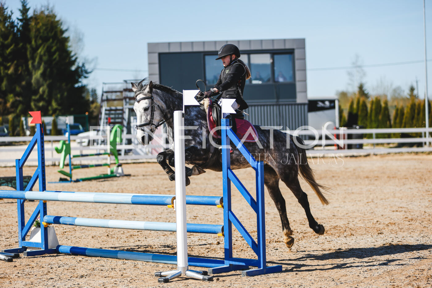 Gramina_Volber_2026_hc70-80_0416