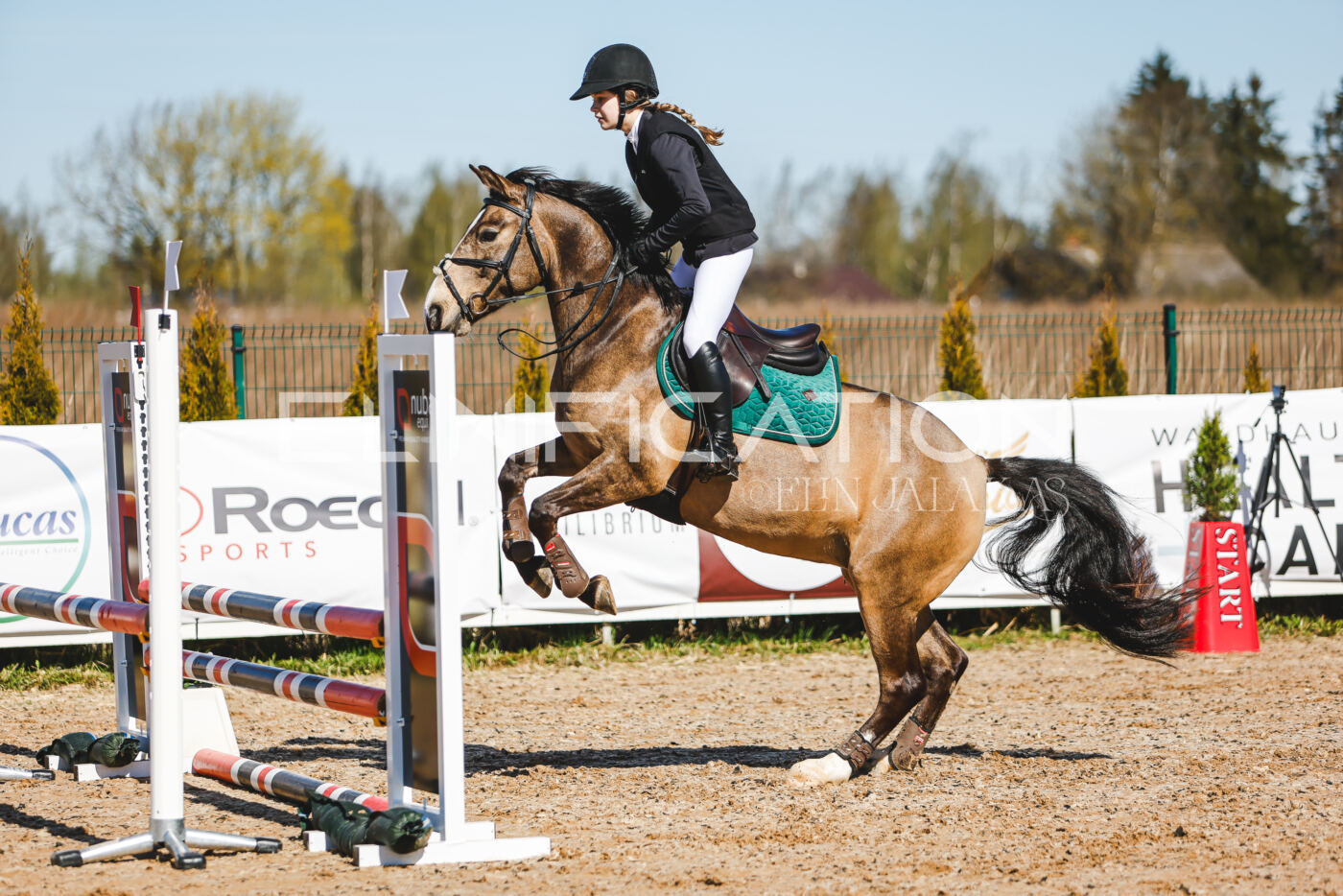 Gramina_Volber_2026_hc70-80_0421