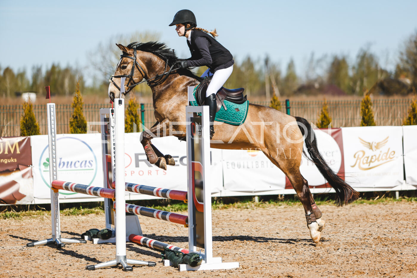 Gramina_Volber_2026_hc70-80_0424