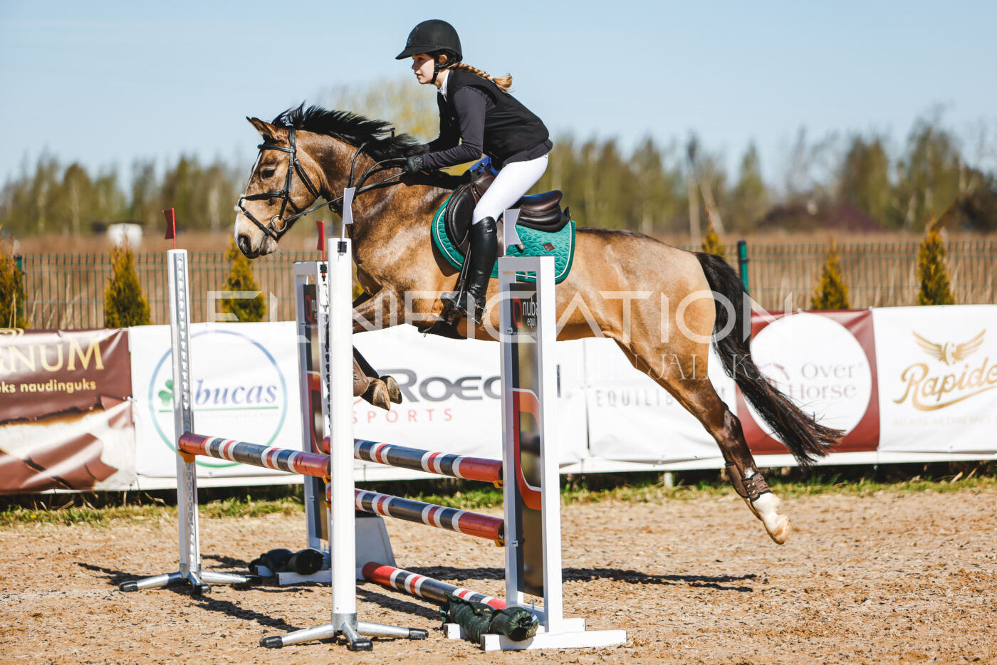 Gramina_Volber_2026_hc70-80_0425