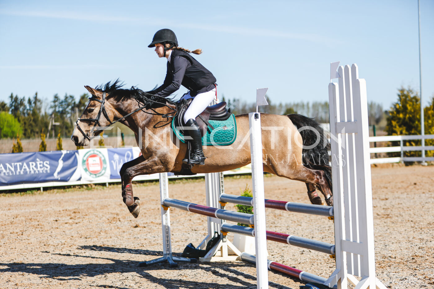 Gramina_Volber_2026_hc70-80_0438
