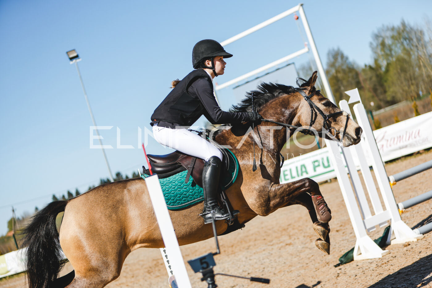 Gramina_Volber_2026_hc70-80_0451