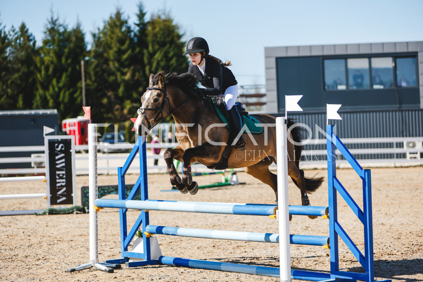 Gramina_Volber_2026_hc70-80_0454