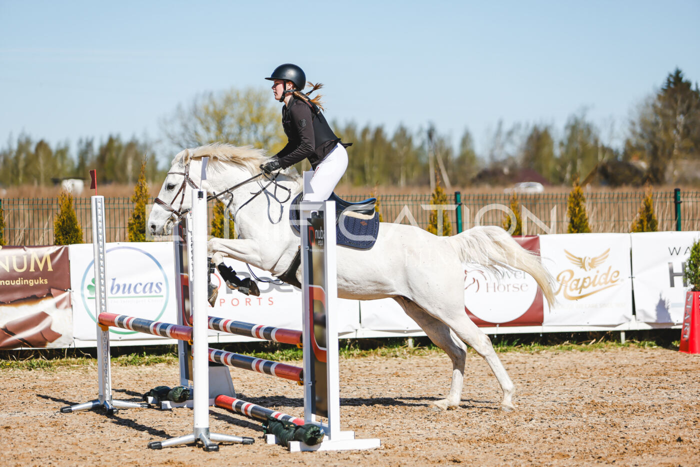 Gramina_Volber_2026_hc70-80_0459