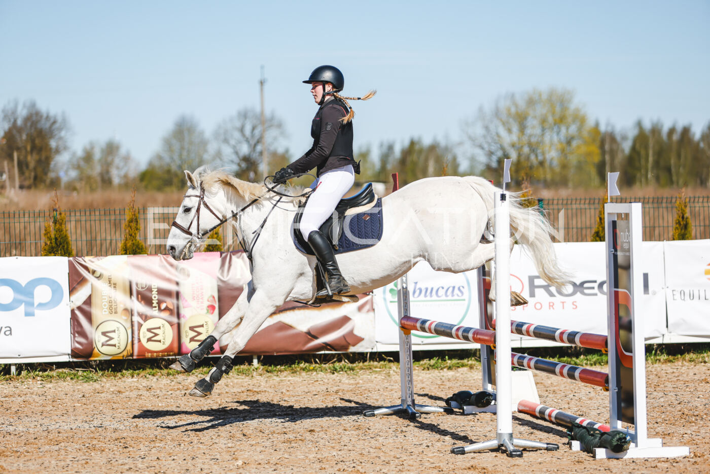 Gramina_Volber_2026_hc70-80_0464
