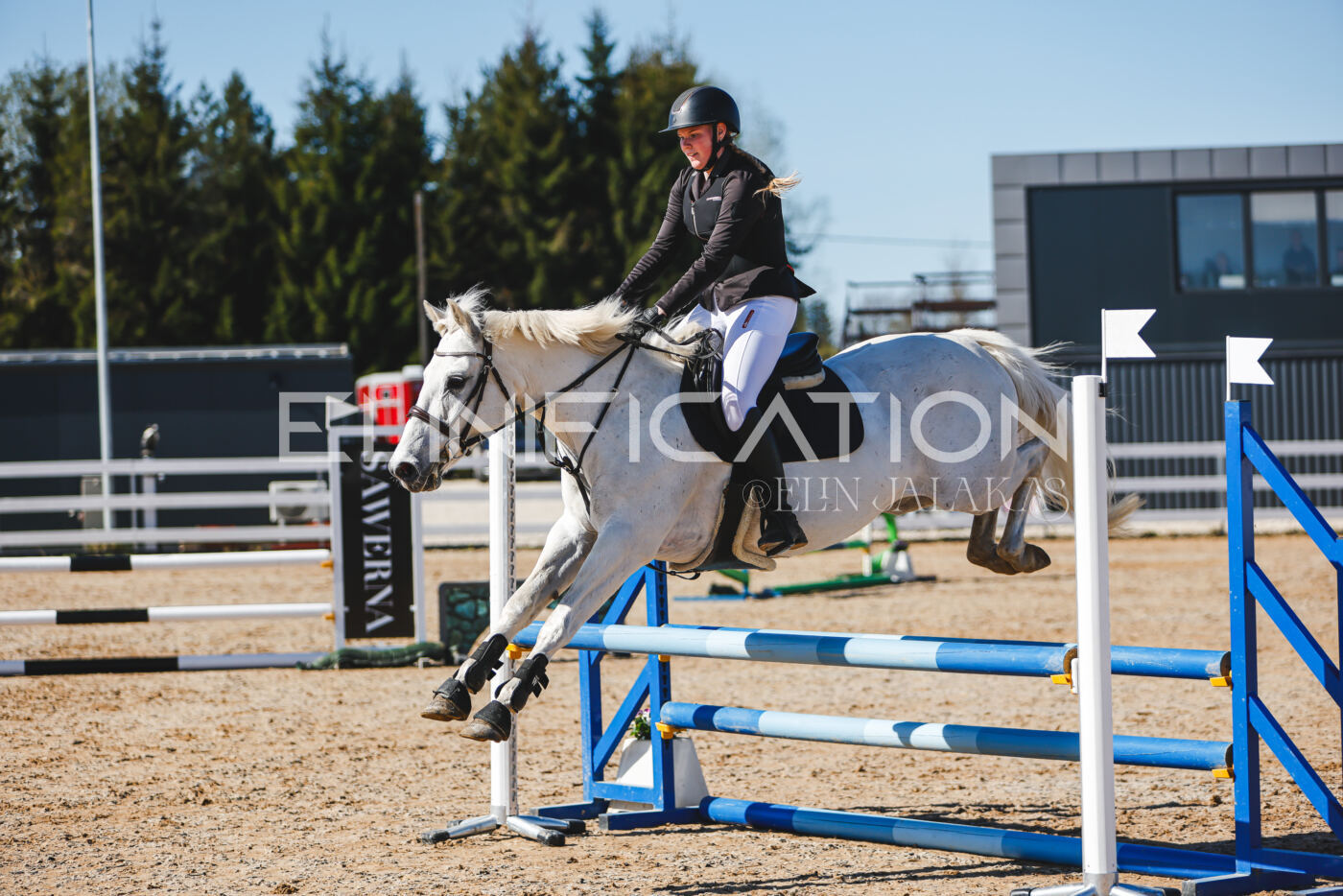 Gramina_Volber_2026_hc70-80_0486