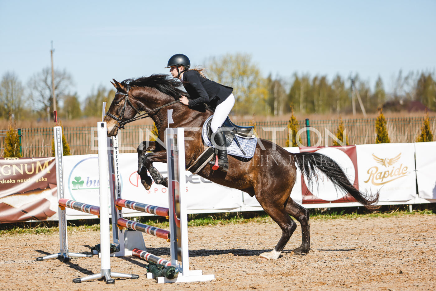 Gramina_Volber_2026_hc70-80_0499