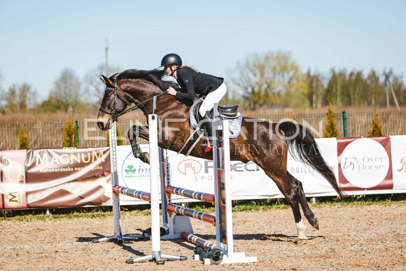 Gramina_Volber_2026_hc70-80_0501