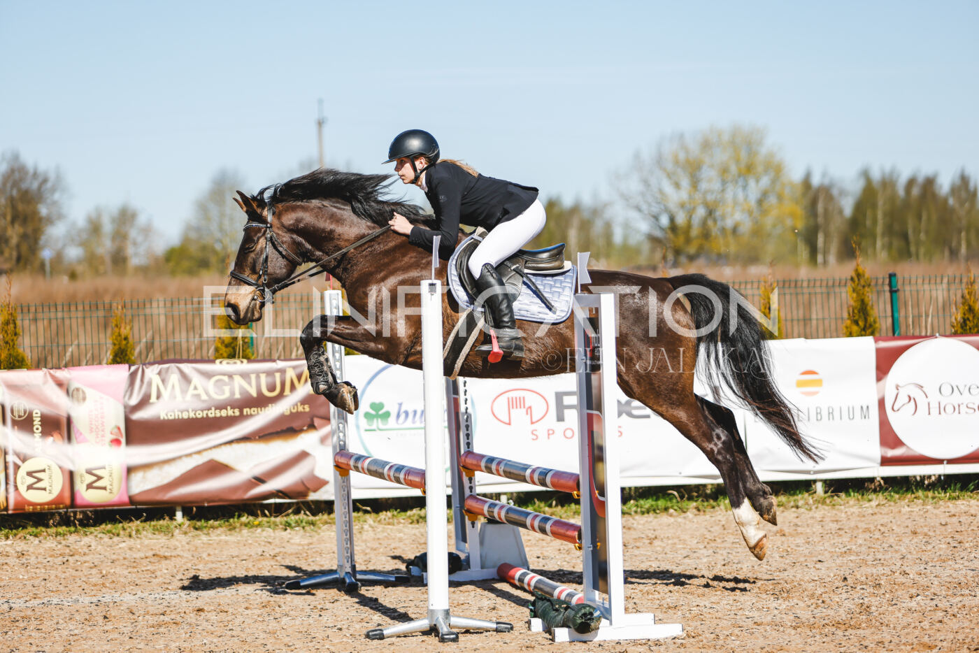 Gramina_Volber_2026_hc70-80_0502