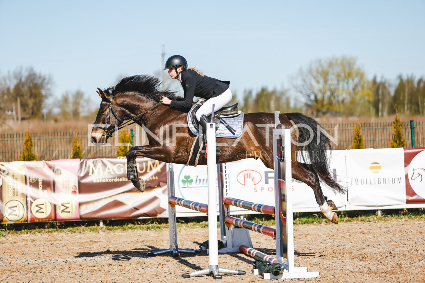 Gramina_Volber_2026_hc70-80_0503
