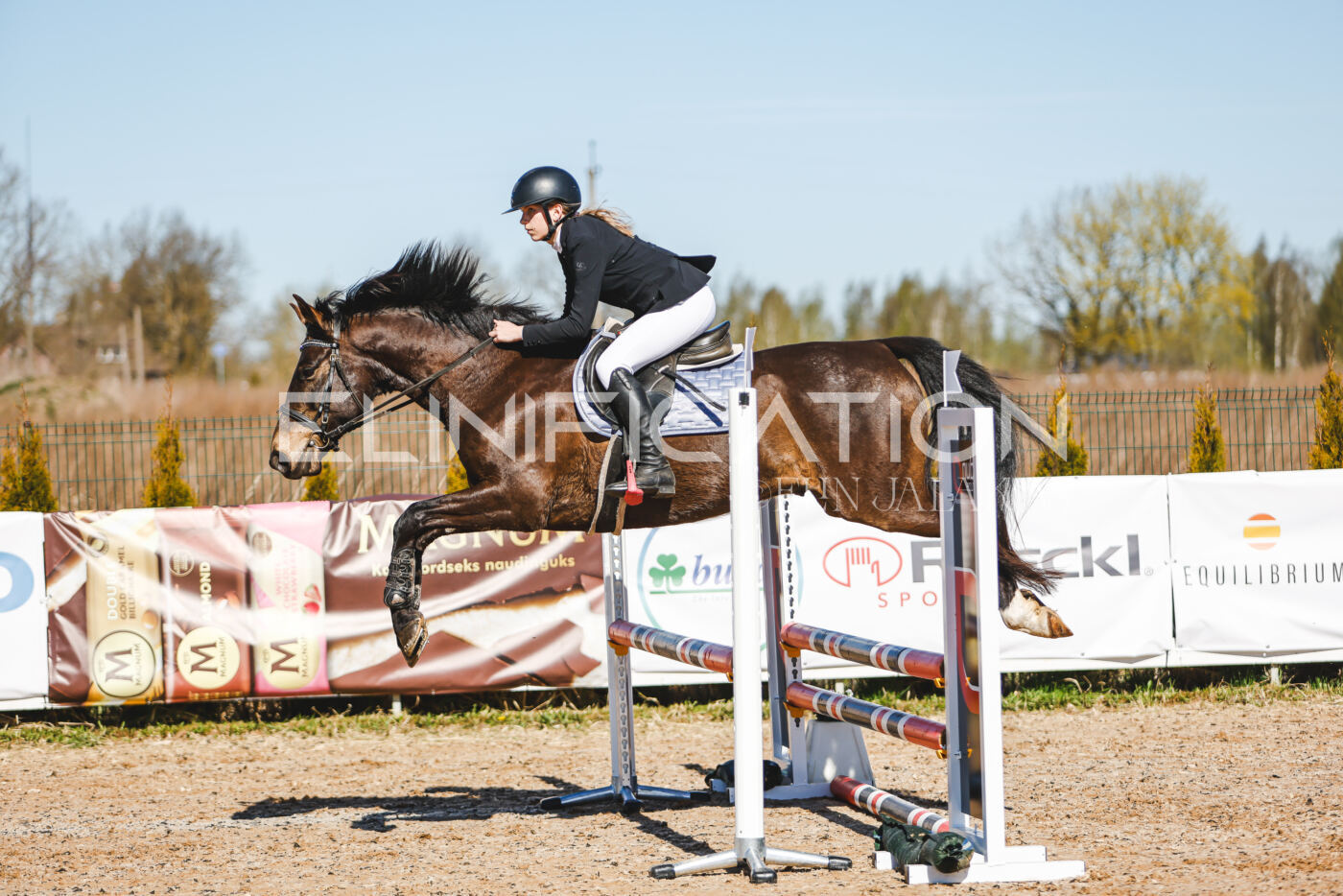 Gramina_Volber_2026_hc70-80_0504