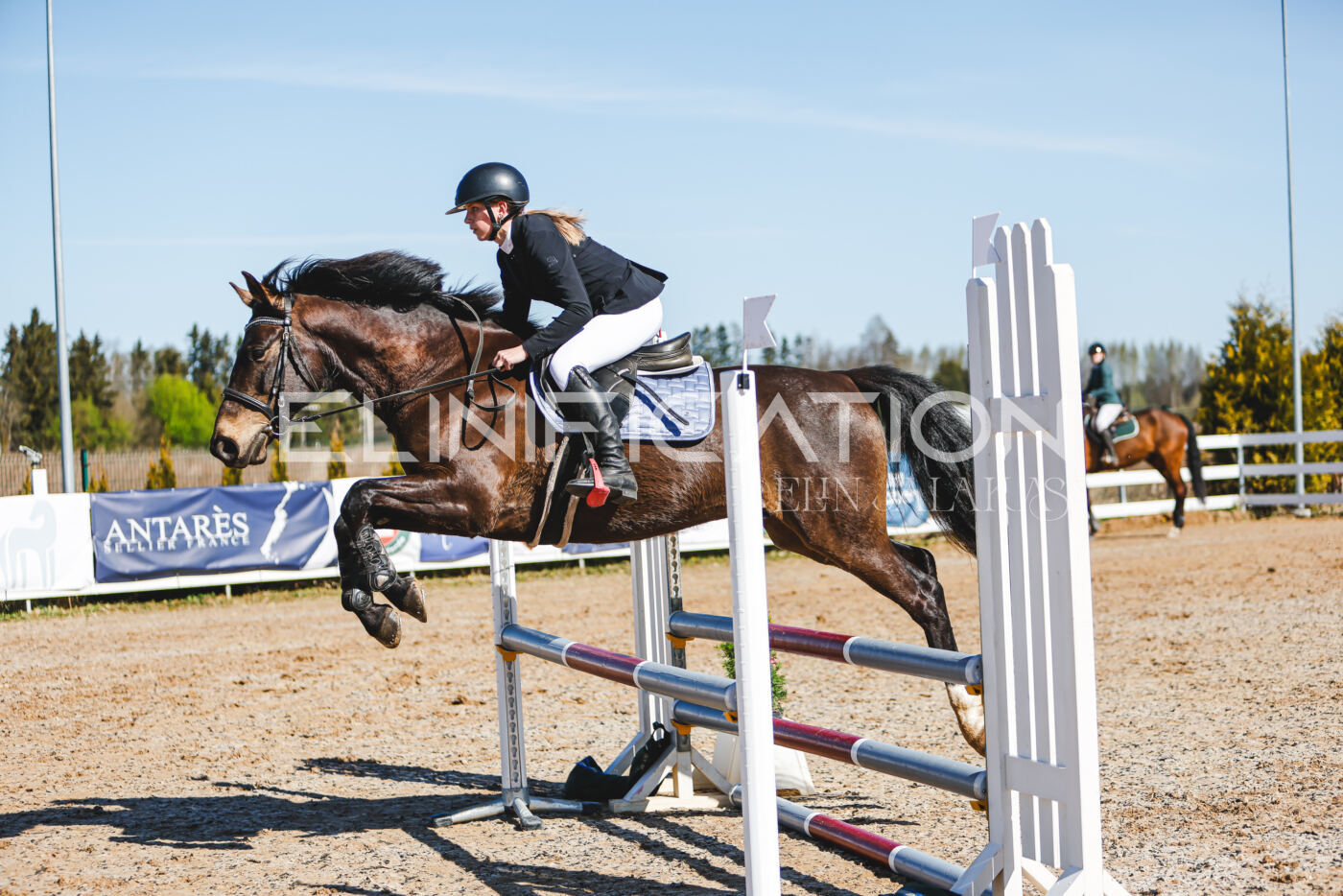 Gramina_Volber_2026_hc70-80_0511