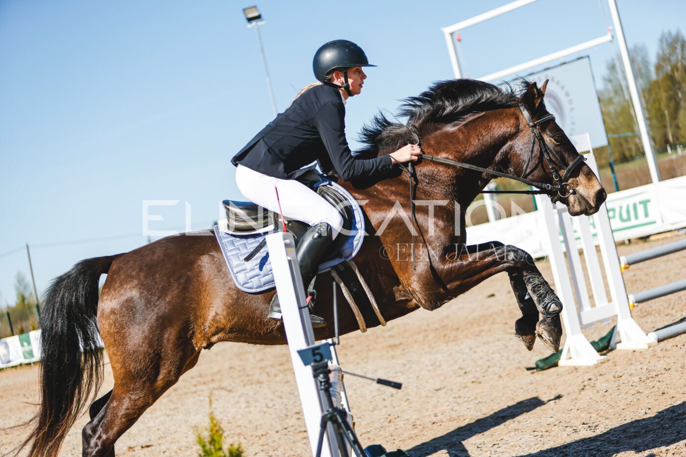 Gramina_Volber_2026_hc70-80_0521