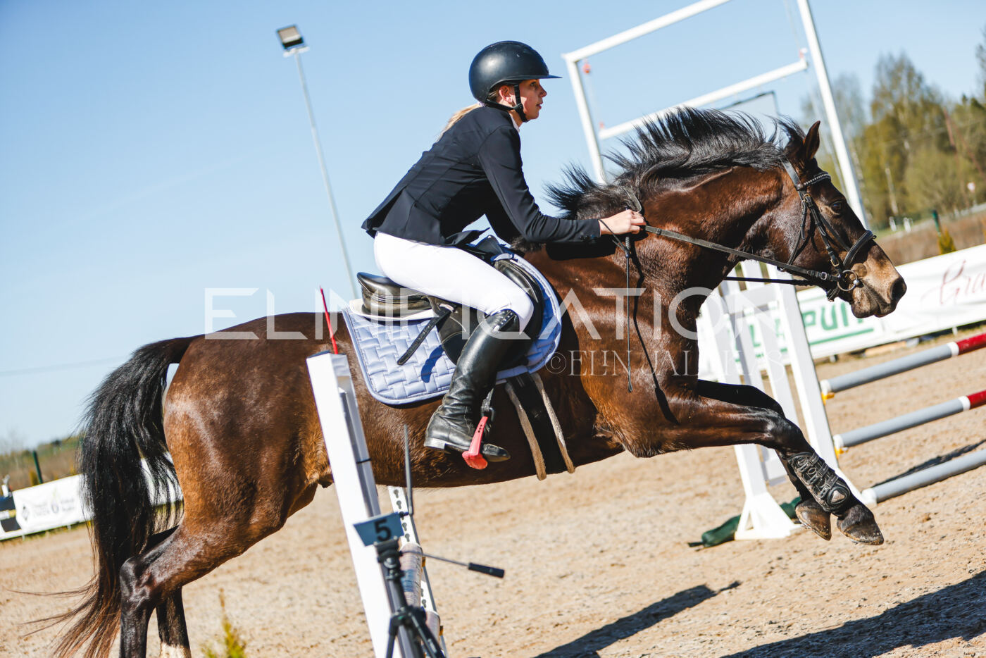 Gramina_Volber_2026_hc70-80_0522